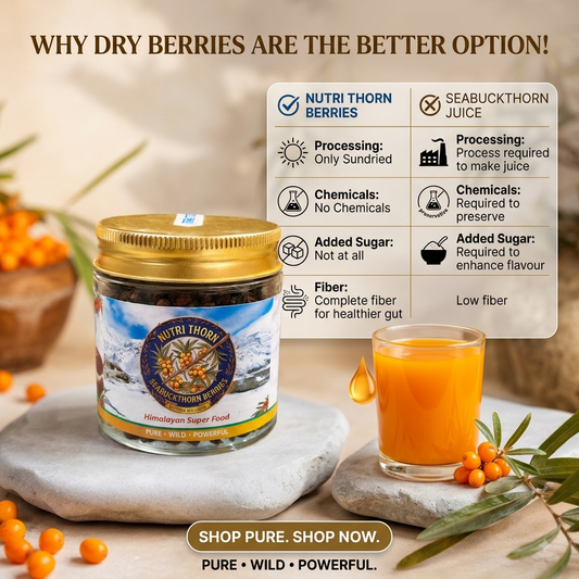 Nutri Thorn Seabuckthorn dry Berries