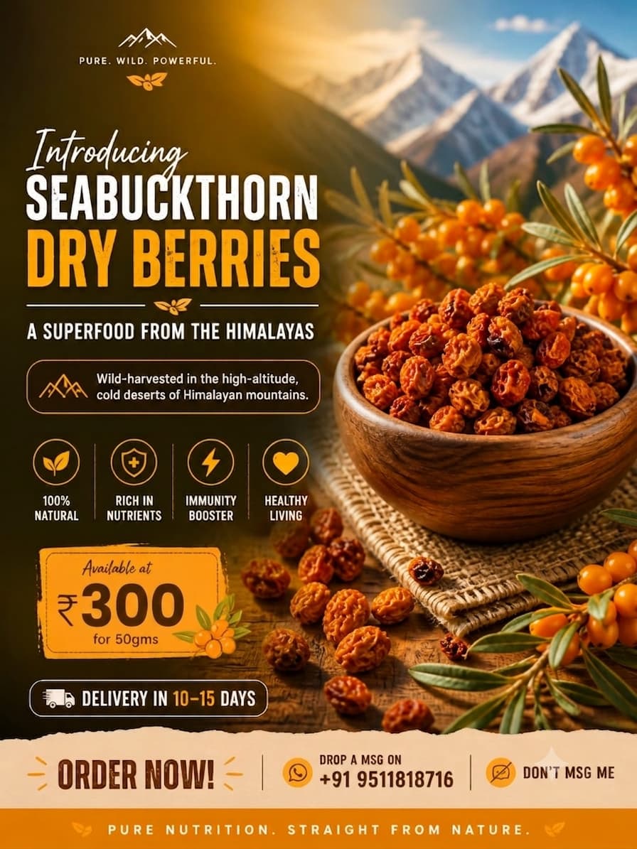 Nutri Thorn Seabuckthorn dry Berries