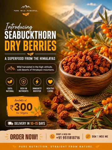 Nutri Thorn Seabuckthorn dry Berries